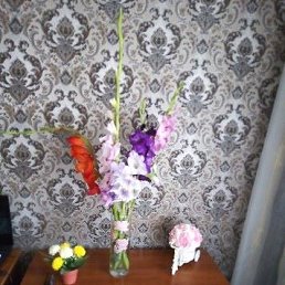 ������� ��������, ����������, 69 ���