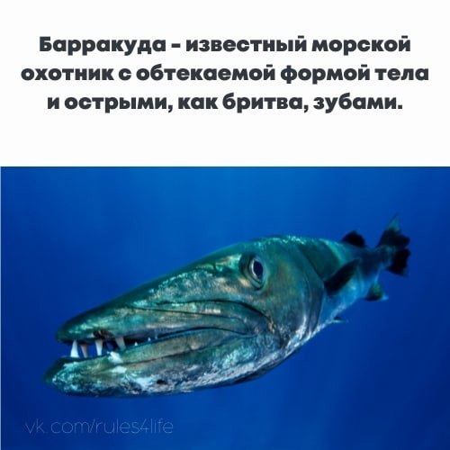 LIFE -  - 27  2021  20:02