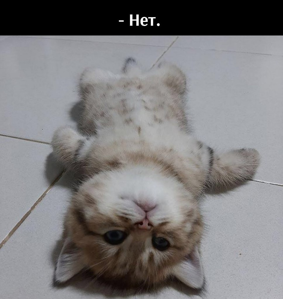       - 21  2021  19:54 - 2