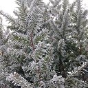 ���� ���������, ����� - ��������� 29 ������� 2021 � ������ ��������