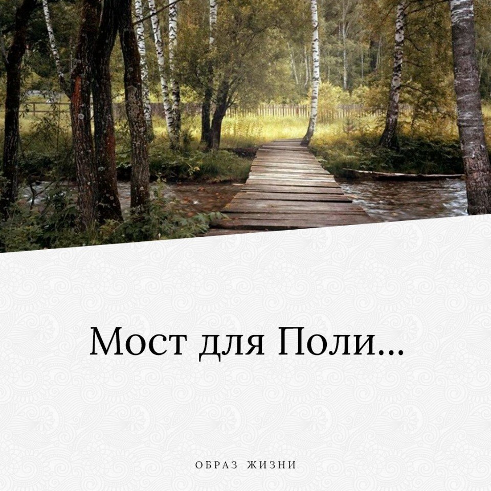 Настенька мем. Человек которому нельзя доверять. Карикатуры елистратов. Высказывания про дождь. Стедман.