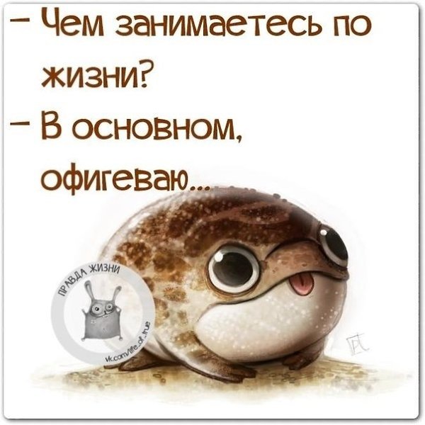 ������ ����� - 22 ������ 2021 � 20:48