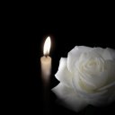 ���� ����, �����-��������� - ��������� 5 ������ 2021 � ������ ���� ����������