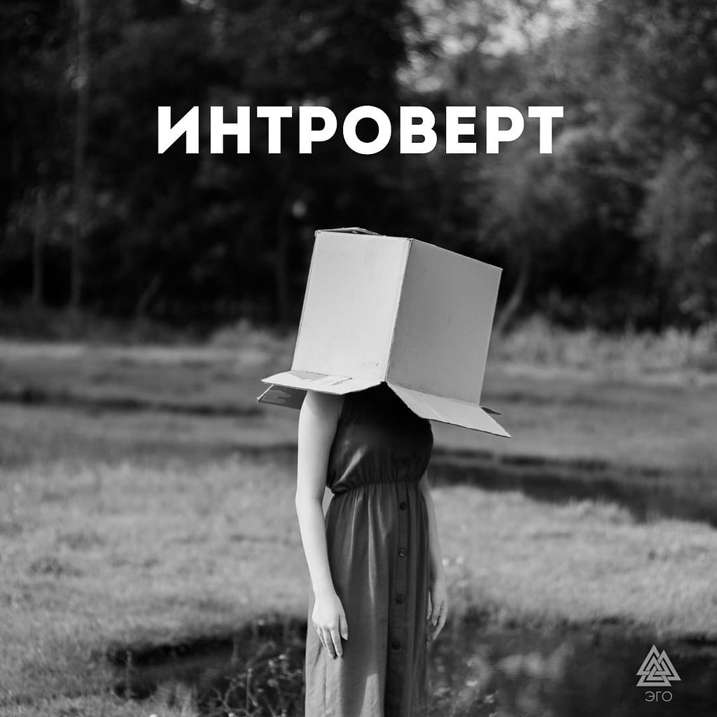 Интроверт - особенности. Интроверт на работе и в отношениях. ... | ЭГО |  Психология, саморазвитие | Фотострана | Пост №2359153885