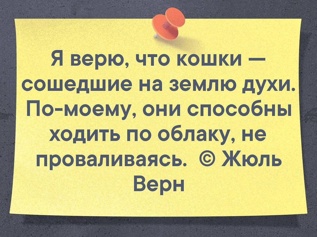    - 18  2021  08:21