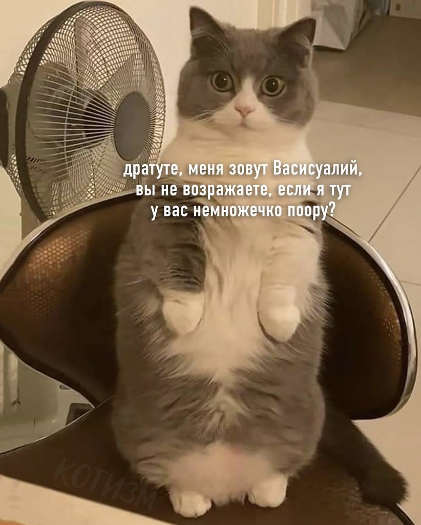: 