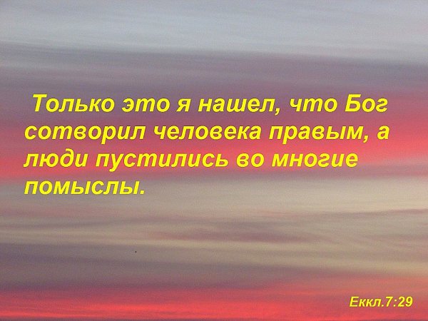   -   - 15  2021  15:22