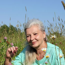 ���� �������, �����-���������, 68 ��� - ��������� 11 ������ 2021