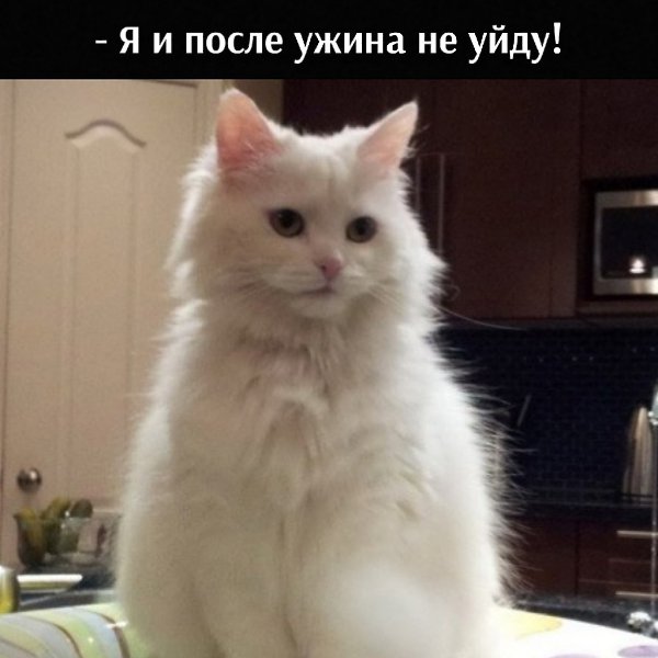       - 17  2021  22:04 - 3
