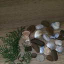 ���� �����, ������, 68 ��� - ��������� 27 ������ 2021 � ������ ���������, �����. ������ 2021.�