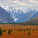  , -, 64  -  11  2022   - 