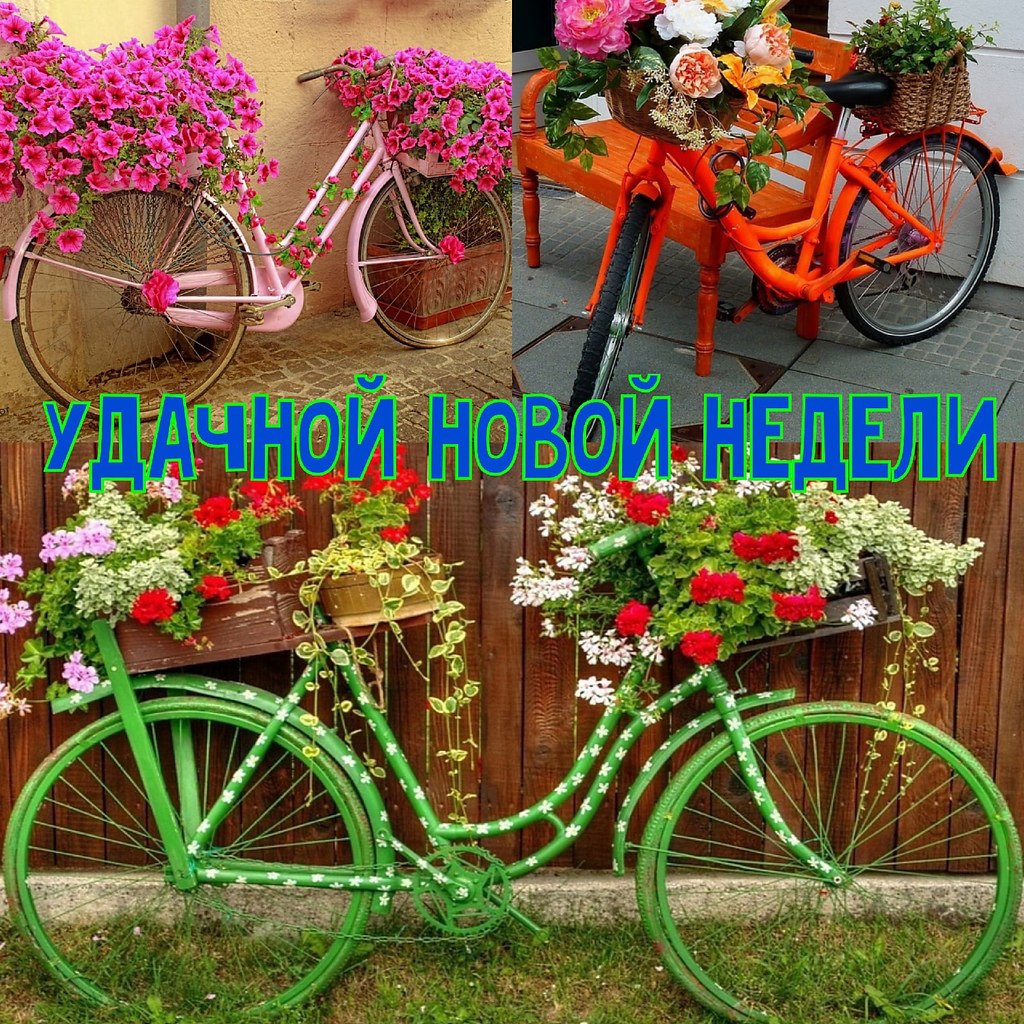   ,    . - 15  2021  23:44 - 9