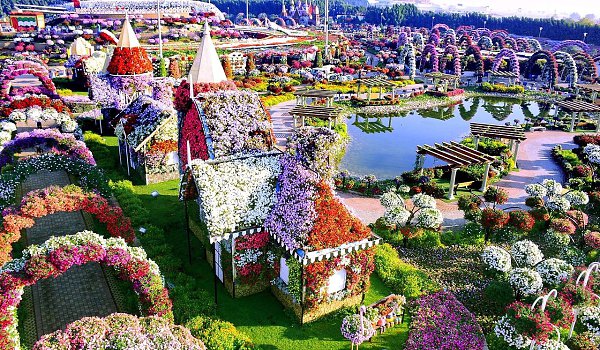 Самый большой в мире цветочный парк находится в Дубае. Miracle Garden. - 5