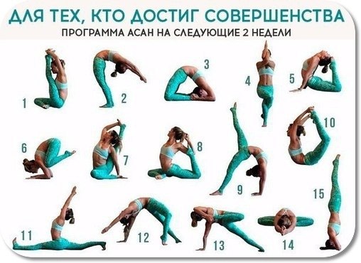  | Yoga - 29  2021  11:20