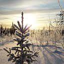 ���� ����, �������, 44 ���� - ��������� 26 ������ 2022 � ������ ���� ����������