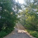 ���� ������, �������, 49 ��� - ��������� 1 ������� 2021 � ������ ���� ����������