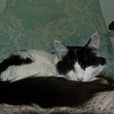 ���� Sergey, ����-�����������, 49 ��� - ��������� 21 ���� 2021 � ������ ���� ����������