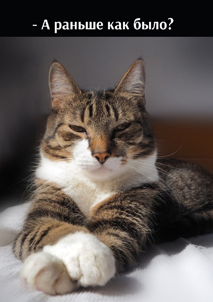       - 26  2021  19:05 - 2