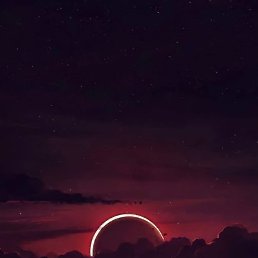 ���� ���������, �������, 41 ��� - ��������� 7 ������ 2022