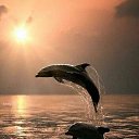 ���� ����, �������� - ��������� 28 ������� 2021 � ������ ������ ��������