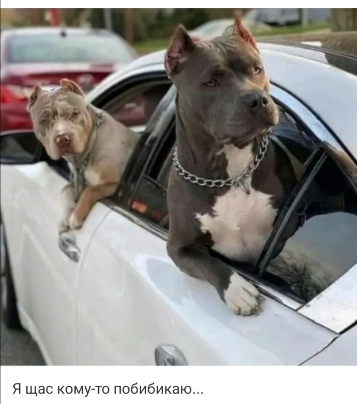 ***Victoria Viktorovna*** - 18 июля 2021 в 15:19