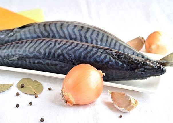 Скумбрия маринованная. Можно, конечно, купить в супермаркете готовую маринованную скумбрию. Но ... - 2