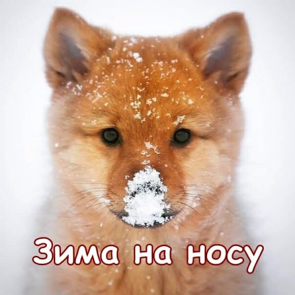   - 20  2021  17:57