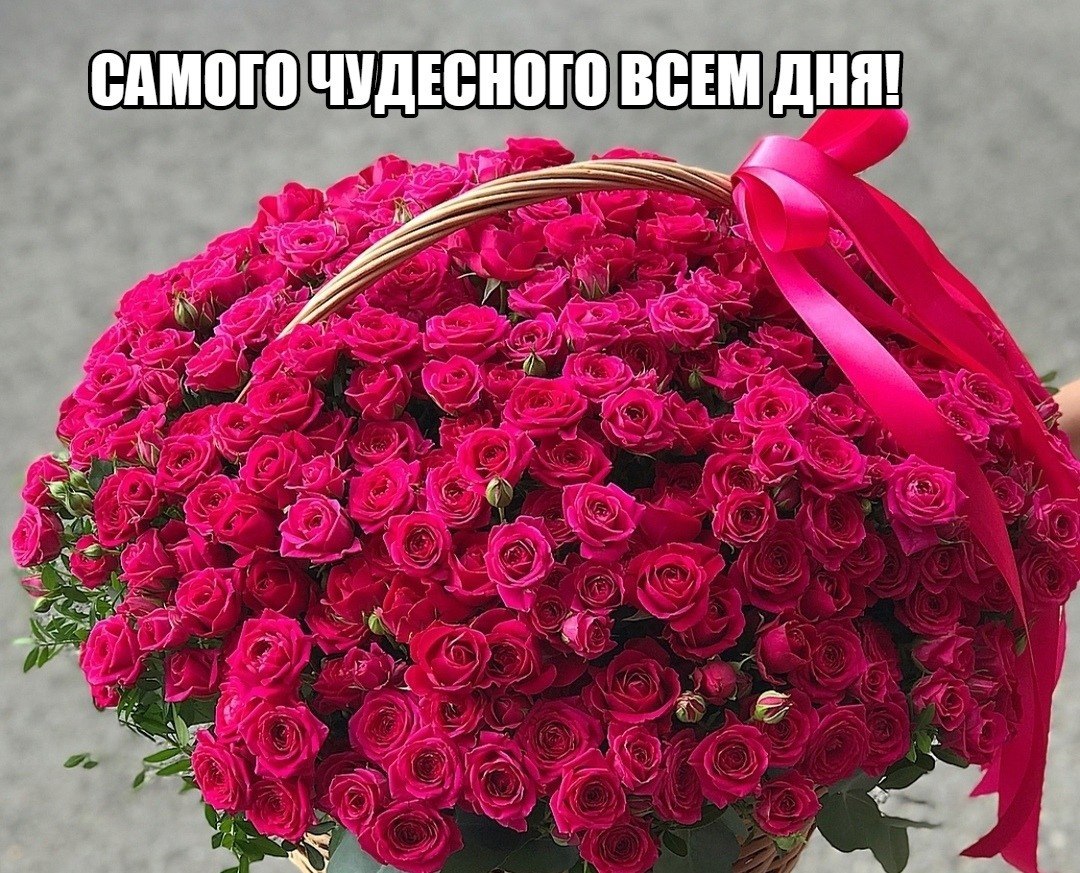   ,    . - 29  2021  13:53 - 4