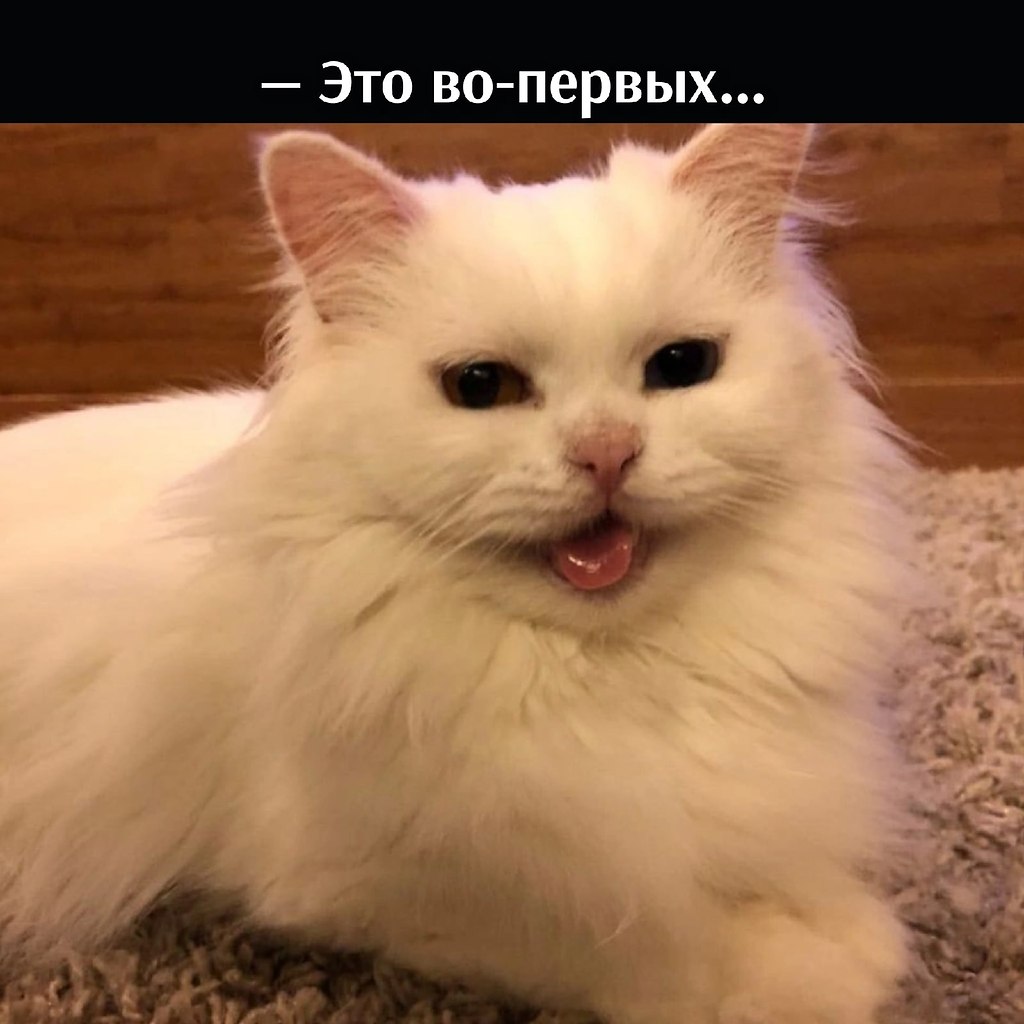 ��� ���� � ����� �� �� - 26 ������� 2021 � 16:13 - 3