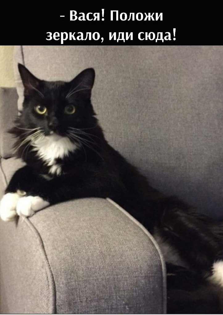       - 13  2021  13:25 - 2