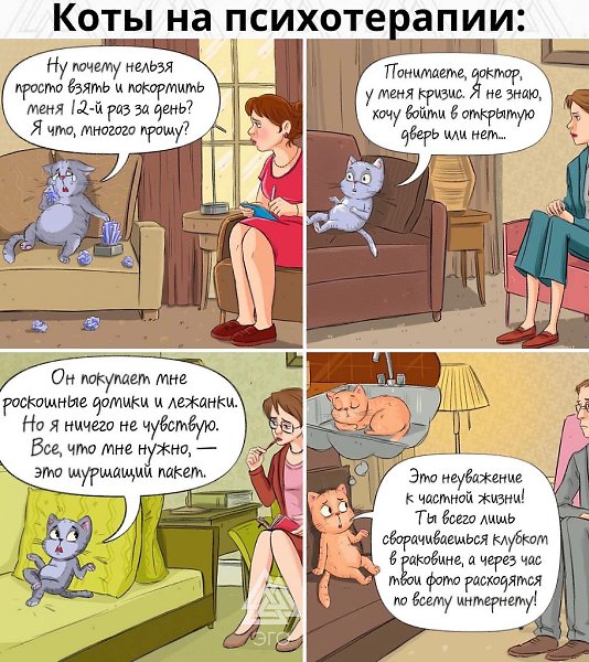 Что рассказали бы коты на сеансе, умей бы они говорить
