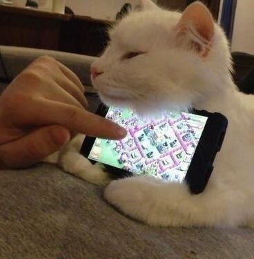   ,  ...      ! - 3