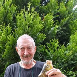 ���� ����, ������, 79 ��� - ��������� 18 ������ 2021