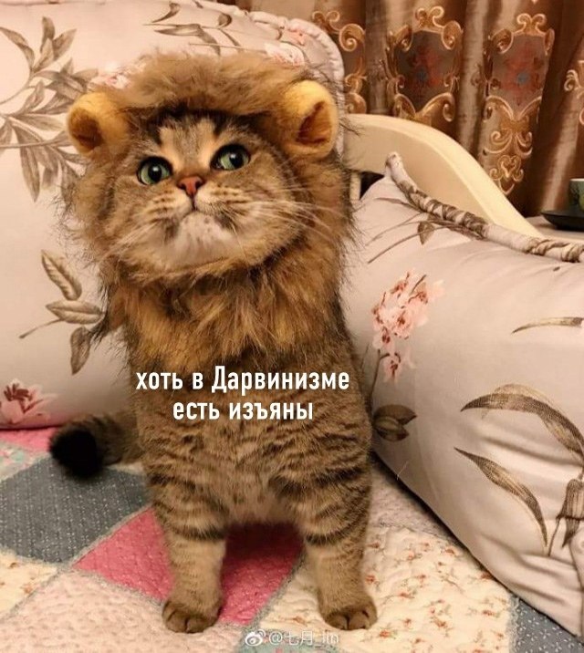  - 24  2021  19:13