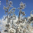 ���� ���������, ����� - ��������� 29 ������� 2021 � ������ ��������