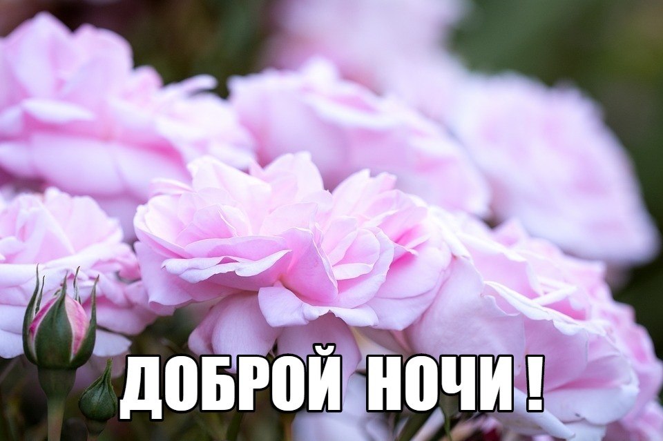  ,    . - 18  2021  19:51