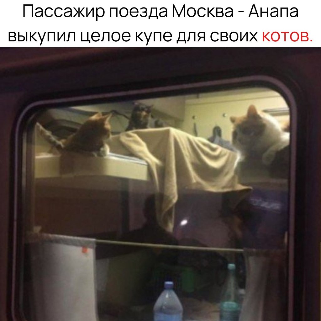 ,  !