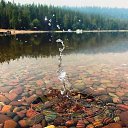 ����������� �������! �� ������� �����������