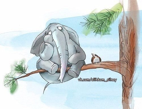 Не надо давать людям советы... Каждый должен лохануться самостоятельно!