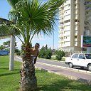 ������� �� ������� ���� ����������