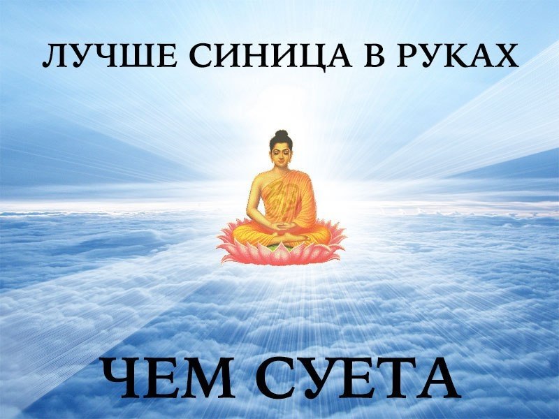 Картинка все суетишься