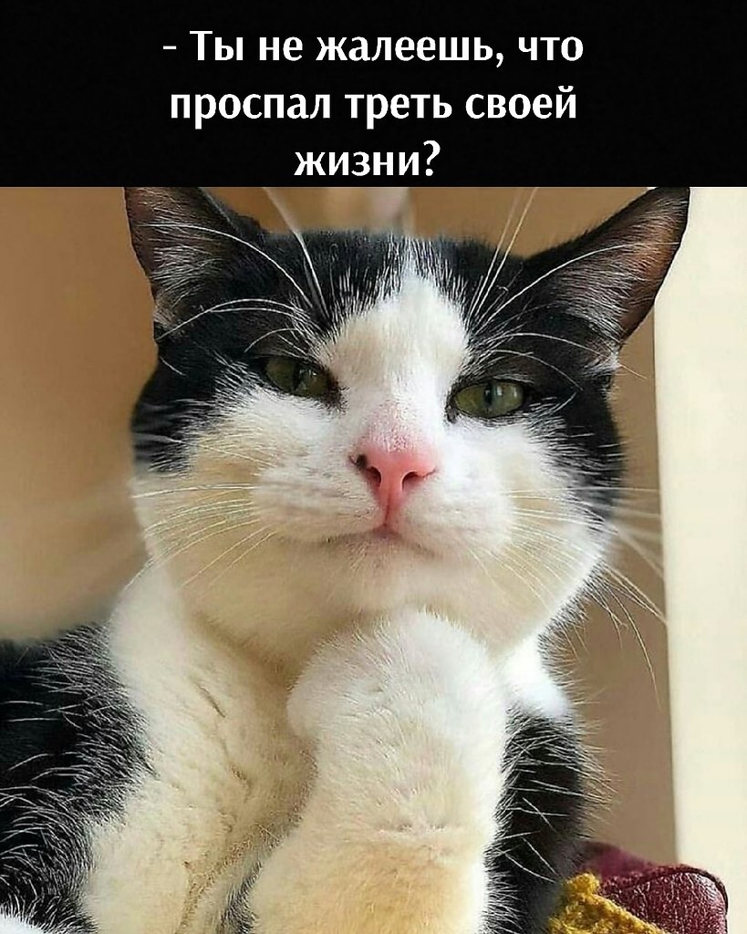       - 17  2021  18:06