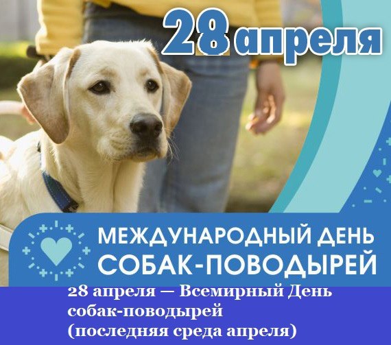   ,    . - 27  2021  23:59 - 5