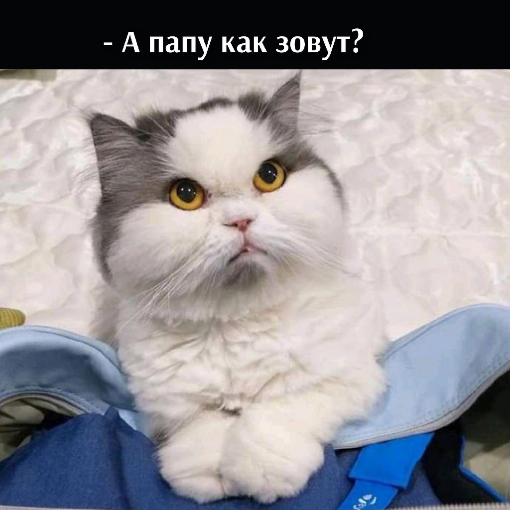       - 2  2022  13:07 - 3