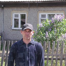 �������, �����, 51 ���