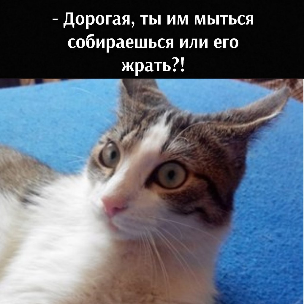       - 14  2021  18:08 - 2