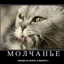 ���� ����, ������������ - ��������� 16 ���� 2021 � ������ ������ ��������