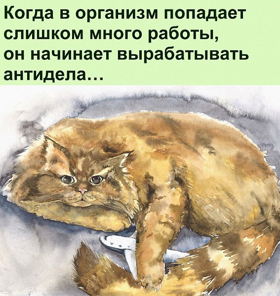 ������ ��������� :D - 4 ������� 2021 � 16:37