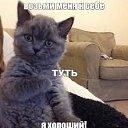 ���� �������, �����, 40 ��� - ��������� 19 ������ 2022