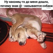 ������, 51 ���, �������